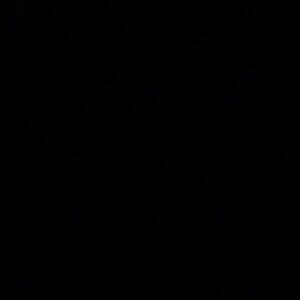 Meet your Posher, Ellsi